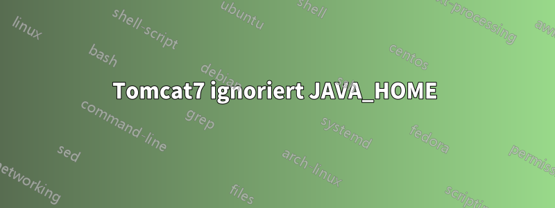 Tomcat7 ignoriert JAVA_HOME