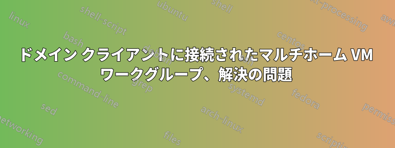 ドメイン クライアントに接続されたマルチホーム VM ワークグループ、解決の問題