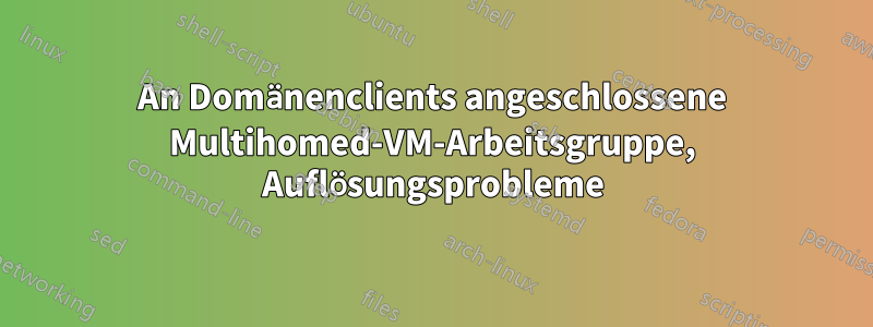 An Domänenclients angeschlossene Multihomed-VM-Arbeitsgruppe, Auflösungsprobleme