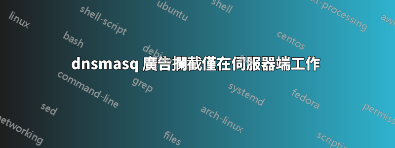 dnsmasq 廣告攔截僅在伺服器端工作