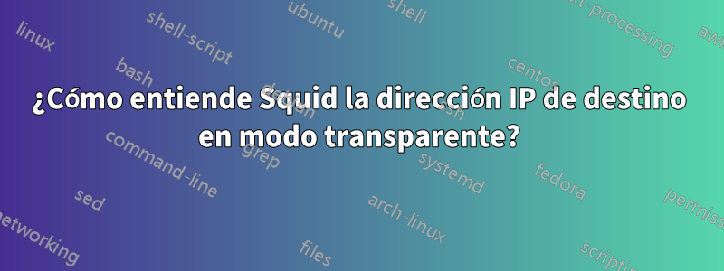 ¿Cómo entiende Squid la dirección IP de destino en modo transparente?