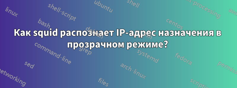 Как squid распознает IP-адрес назначения в прозрачном режиме?