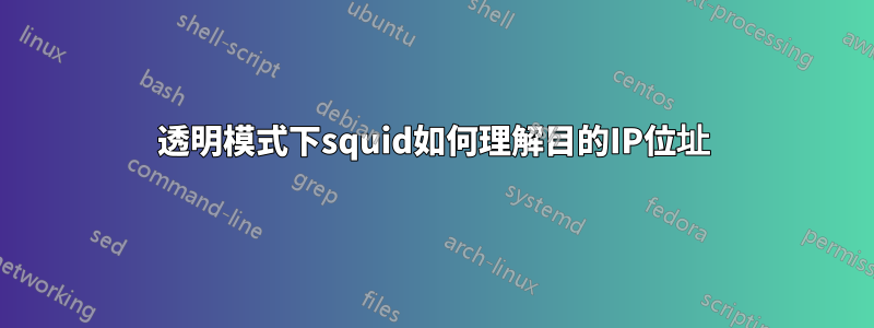 透明模式下squid如何理解目的IP位址