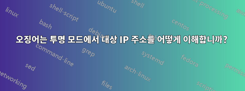 오징어는 투명 모드에서 대상 IP 주소를 어떻게 이해합니까?