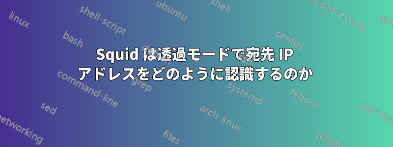 Squid は透過モードで宛先 IP アドレスをどのように認識するのか