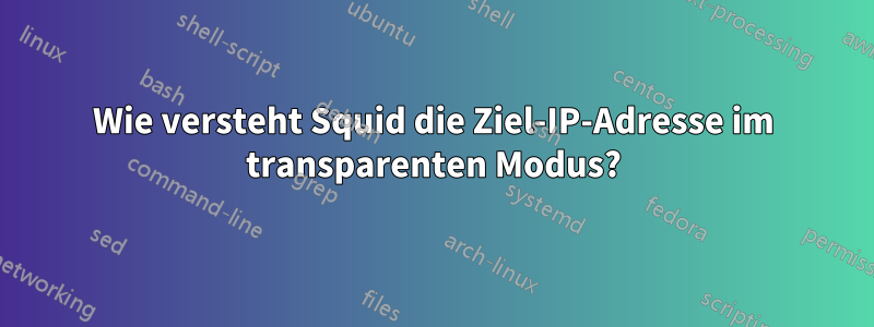 Wie versteht Squid die Ziel-IP-Adresse im transparenten Modus?