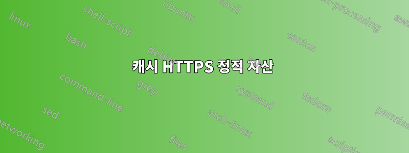 캐시 HTTPS 정적 자산