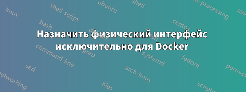 Назначить физический интерфейс исключительно для Docker