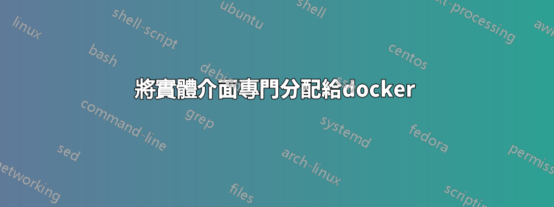 將實體介面專門分配給docker