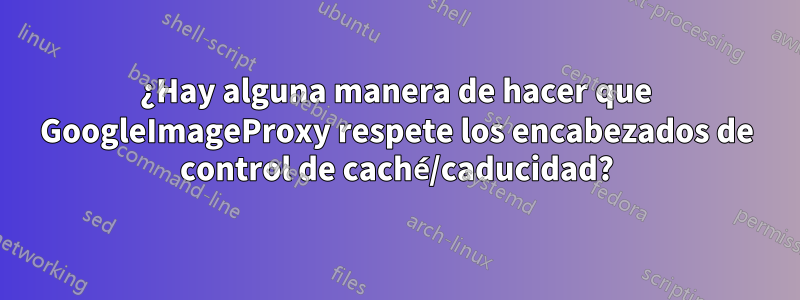 ¿Hay alguna manera de hacer que GoogleImageProxy respete los encabezados de control de caché/caducidad?