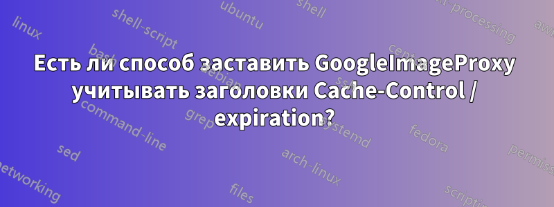 Есть ли способ заставить GoogleImageProxy учитывать заголовки Cache-Control / expiration?