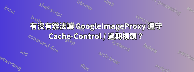 有沒有辦法讓 GoogleImageProxy 遵守 Cache-Control / 過期標頭？