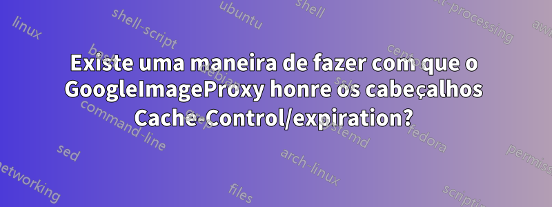 Existe uma maneira de fazer com que o GoogleImageProxy honre os cabeçalhos Cache-Control/expiration?