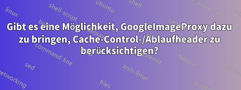 Gibt es eine Möglichkeit, GoogleImageProxy dazu zu bringen, Cache-Control-/Ablaufheader zu berücksichtigen?