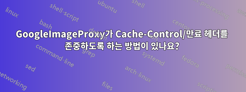 GoogleImageProxy가 Cache-Control/만료 헤더를 존중하도록 하는 방법이 있나요?