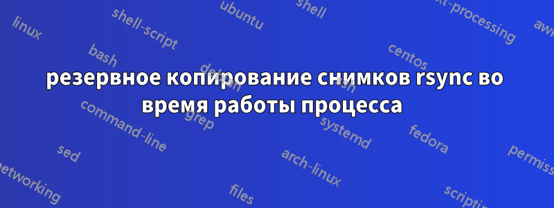 резервное копирование снимков rsync во время работы процесса 