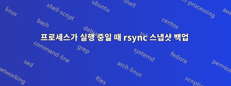 프로세스가 실행 중일 때 rsync 스냅샷 백업