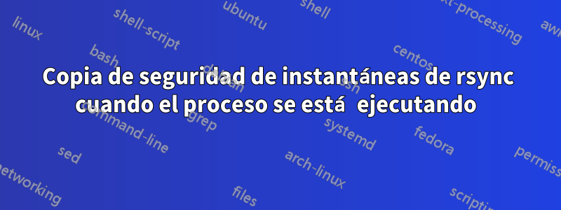 Copia de seguridad de instantáneas de rsync cuando el proceso se está ejecutando 