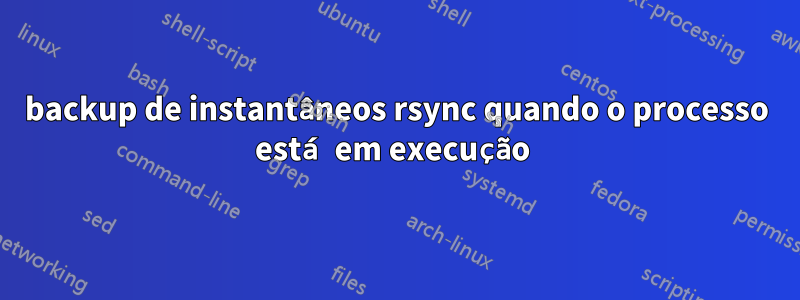 backup de instantâneos rsync quando o processo está em execução 