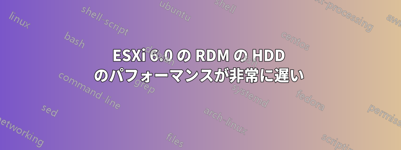 ESXi 6.0 の RDM の HDD のパフォーマンスが非常に遅い