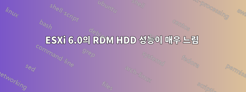 ESXi 6.0의 RDM HDD 성능이 매우 느림