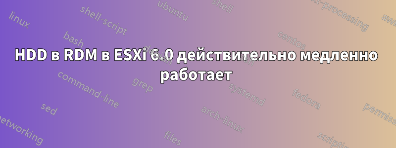 HDD в RDM в ESXi 6.0 действительно медленно работает