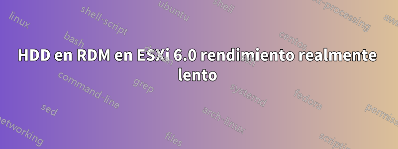 HDD en RDM en ESXi 6.0 rendimiento realmente lento