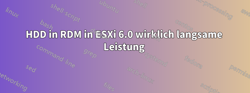 HDD in RDM in ESXi 6.0 wirklich langsame Leistung