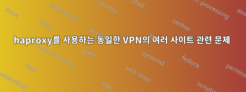 haproxy를 사용하는 동일한 VPN의 여러 사이트 관련 문제