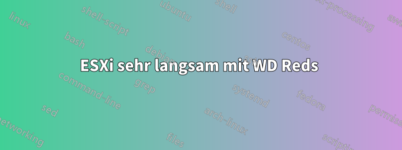 ESXi sehr langsam mit WD Reds