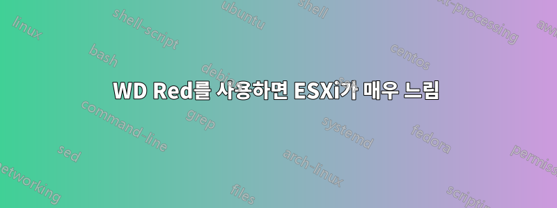 WD Red를 사용하면 ESXi가 매우 느림