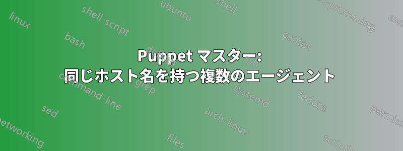 Puppet マスター: 同じホスト名を持つ複数のエージェント