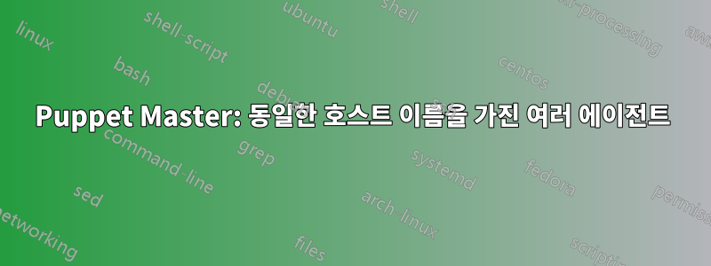 Puppet Master: 동일한 호스트 이름을 가진 여러 에이전트