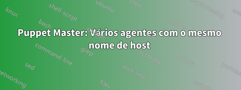 Puppet Master: Vários agentes com o mesmo nome de host