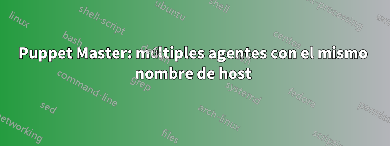 Puppet Master: múltiples agentes con el mismo nombre de host
