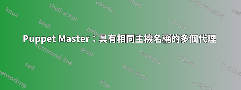 Puppet Master：具有相同主機名稱的多個代理