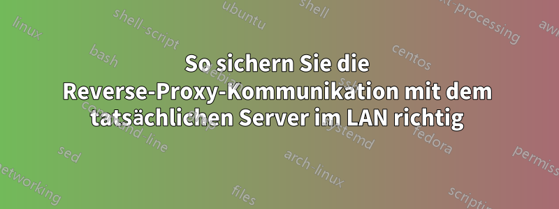 So sichern Sie die Reverse-Proxy-Kommunikation mit dem tatsächlichen Server im LAN richtig