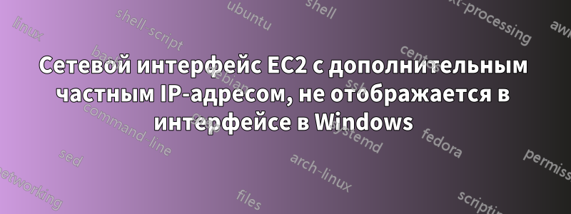 Сетевой интерфейс EC2 с дополнительным частным IP-адресом, не отображается в интерфейсе в Windows