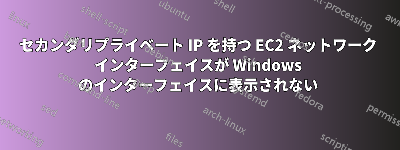 セカンダリプライベート IP を持つ EC2 ネットワーク インターフェイスが Windows のインターフェイスに表示されない