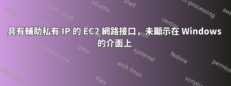 具有輔助私有 IP 的 EC2 網路接口，未顯示在 Windows 的介面上