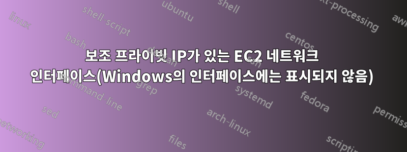 보조 프라이빗 IP가 있는 EC2 네트워크 인터페이스(Windows의 인터페이스에는 표시되지 않음)