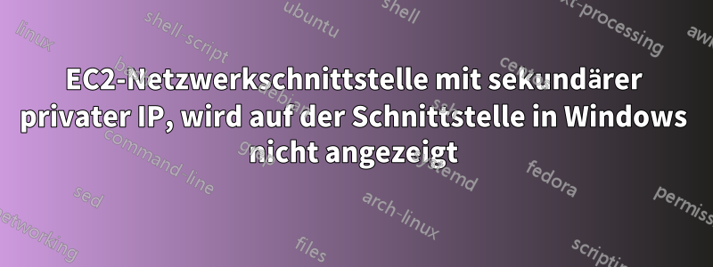 EC2-Netzwerkschnittstelle mit sekundärer privater IP, wird auf der Schnittstelle in Windows nicht angezeigt