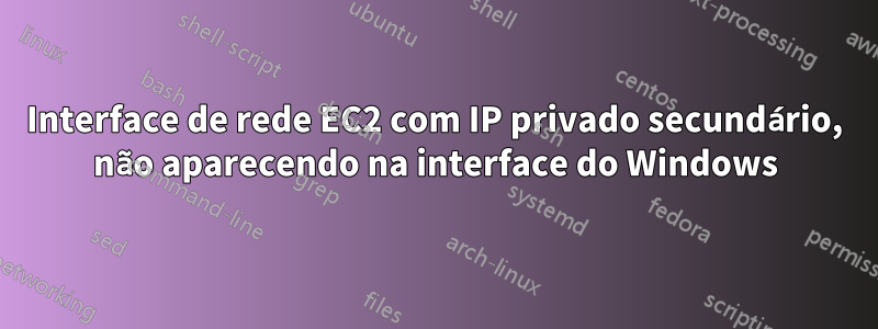 Interface de rede EC2 com IP privado secundário, não aparecendo na interface do Windows