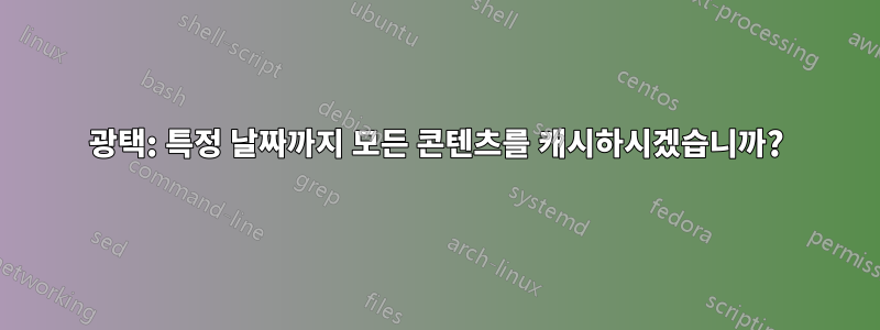 광택: 특정 날짜까지 모든 콘텐츠를 캐시하시겠습니까?