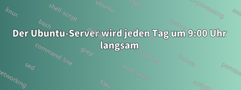 Der Ubuntu-Server wird jeden Tag um 9:00 Uhr langsam