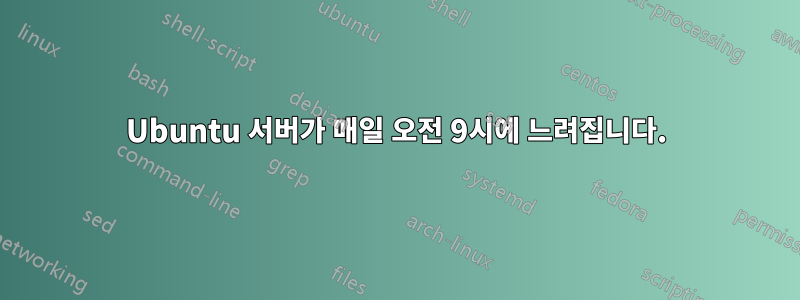 Ubuntu 서버가 매일 오전 9시에 느려집니다.