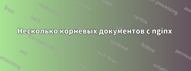 Несколько корневых документов с nginx