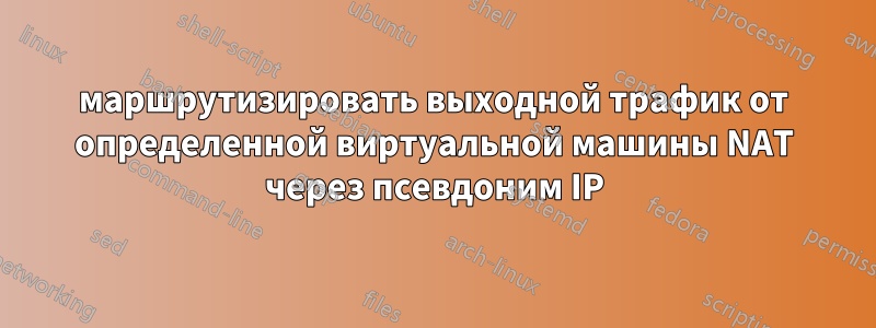 маршрутизировать выходной трафик от определенной виртуальной машины NAT через псевдоним IP