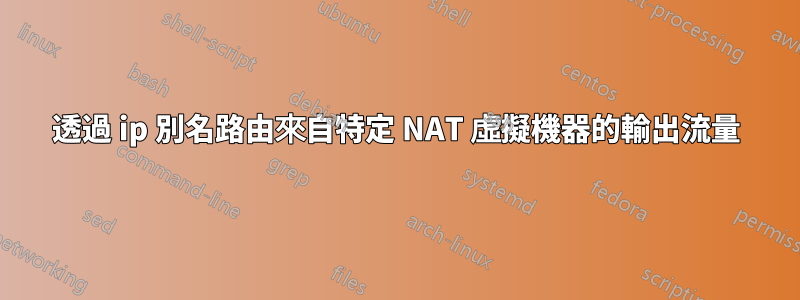 透過 ip 別名路由來自特定 NAT 虛擬機器的輸出流量