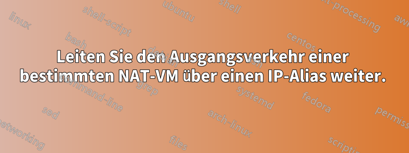 Leiten Sie den Ausgangsverkehr einer bestimmten NAT-VM über einen IP-Alias ​​weiter.